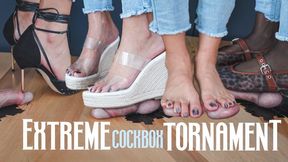 Shoe Test on Helpless Cock & Balls - Mistress Enola - Cockbox trampling, crushing , stomping and moreFullHD