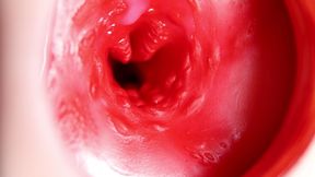 This Beautiful Pussy Is Pulsating and Squeezing My Cock! Camera Inside the Hole!