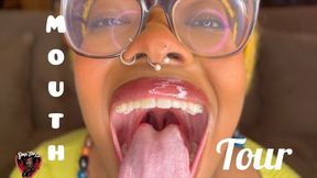 Mouth Tour 2