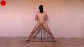 No mercy - prostate orgasm cumshot - anal probe vibrator post orgasm stimulation