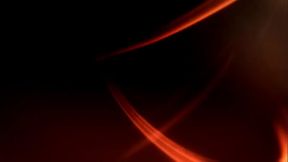 Easter chocolate for the bunnies!