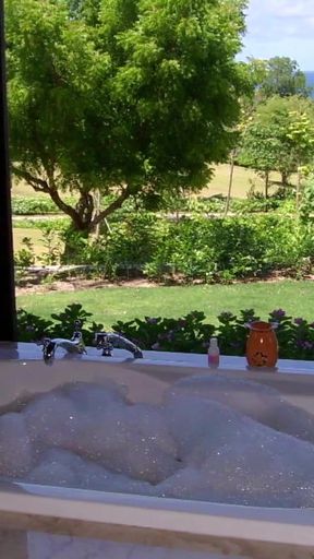 Story: Sexy Vacation in Paradise   Clip 1