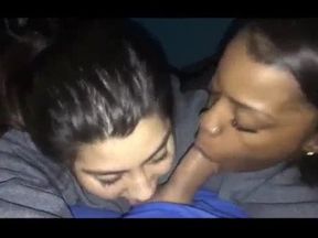 Double interracial bj with slutty students