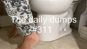 The daily dumps #311 mp4