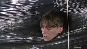 Pallet Wrapped