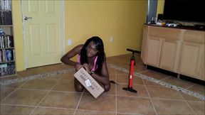 Paris inflates this duck