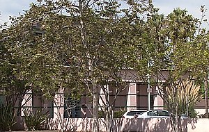 Sexy blonde mature blonde librarian getting fucked intense