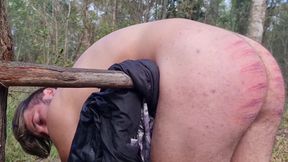 Spanking Stories 280