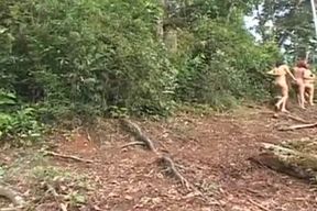 ts RAIN WOODS - Vignette 1