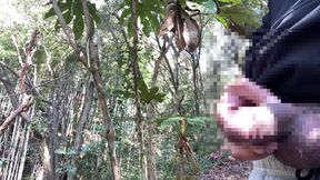 outdoor public piss pissing