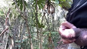 outdoor public piss pissing