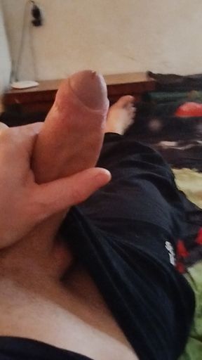 The penis is erect, I need to jerk off..