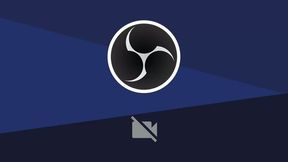 Mollyy Bloom Party on Nov 9, 2025