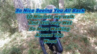 Britiske modne homoseksuelle slaver med piercinger tager hårdhændet udendørs anal dunkende i offentligheden