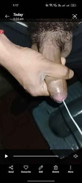 Desi boy toilet sex with hand