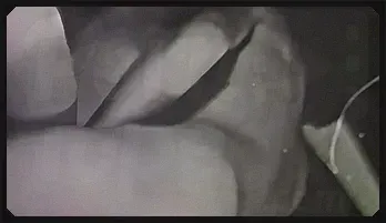 Christy Canyon MILF Oral Sex Scene with Kelle Dylan - Vintage Porn