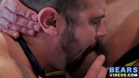 Experienced bear thrusts his hairy boner in fat cub ass