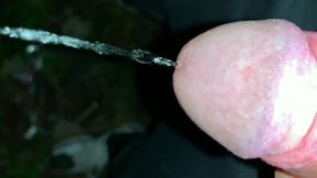 Slowmotion and Close up. Unwashed Uncut Cock Piss on the Ground Outdoor. Long Piss Stream