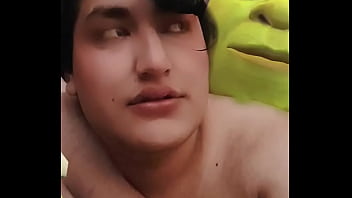 Mi Gran Encuentro con Shrek