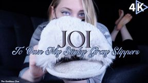 JOI to Own My Stinky Gray Slippers - 4K - The Goddess Clue, Scent Fetish, Shoe Fetish, Foot Slave Training, Well Worn Slippers and Feet JOI