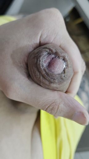 A Closer Look at the Male Anatomy