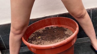 I IN THE MATERA DESPAIR