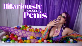 Hilariously Small Penis