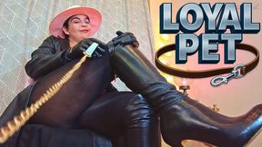 Loyal Pet crotch and boot lover- Reinaleather in pantyhose and mini skirt