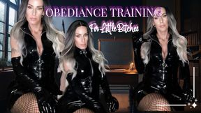 OBEDIANCE TRAINING For Little Bitches POV