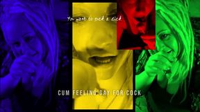 if you watch to long the shemales will make you gay starring goddess lana