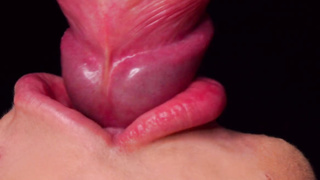 CLOSE UP: HOTTEST Tugging Hatch for your TROUSER SNAKE! Deepthroating Boner ASMR, Tongue and Lips BLOW-JOB