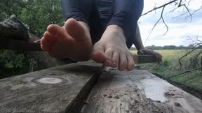 Treehouse Feet