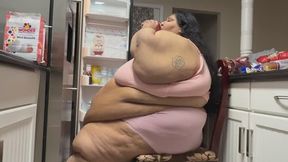 Fridge Raid 2