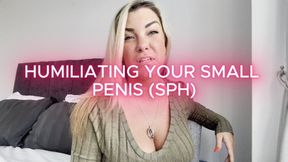 Humiliating Your Small Penis (SPH)