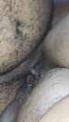 amateur anal pain fuels her primal scream
