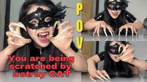 POV: You Are Being Scratched By A Stray Cat | LINH'S LONG NAIL | CRAZY ABOUT LONG AND NATURAL NAILS