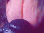 Sc Kyle Butler 'Tip Lick Flicks'