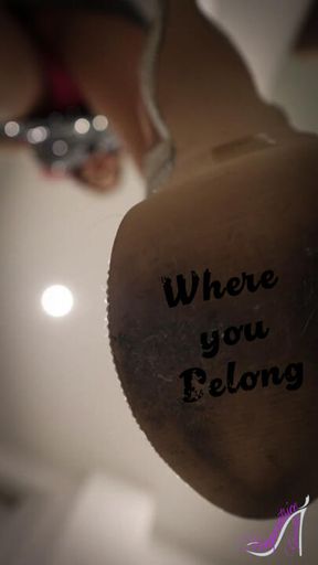 Where you belong