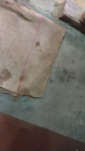 Indian bhabhi sex