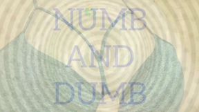 Numb and Dumb (Tits)