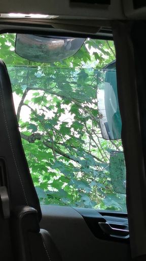 Trucker having a good time in a truck