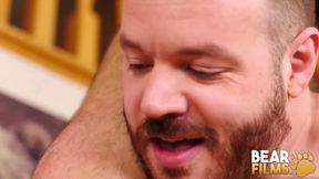 BEARFILMS fat hairy bears rex blue and john thomas raw breed