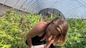 Maid Sucks off Gardener Till He Cums &amp; Piss on My Face Outdoors, Farmers Wife