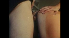 Rocco's insatiable cock&#x1F32D; ravages clueless broads in steamy 35mm orgies