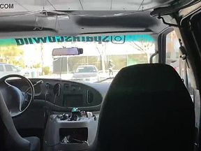 Sex in the van at a public park