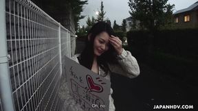 Gill's japan clip