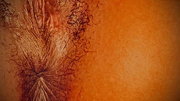 I’m starting to think I’m a nympho