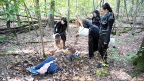 Buried in the forest (SD Video)