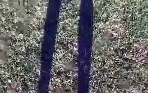 Busty milf brianna beach