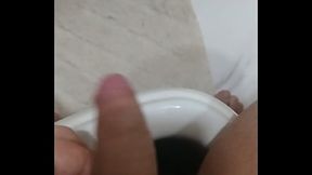 Balan&ccedil_ando pica